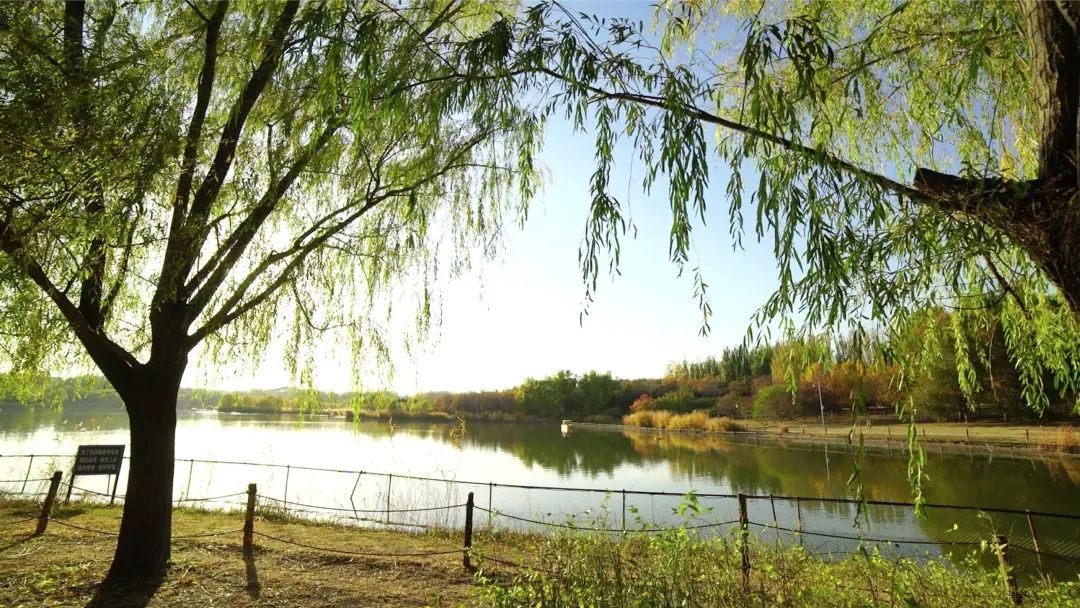 奥林匹克建筑群:古老中轴线上的新风景 奥林匹克建筑群:古老中轴线上的新风景