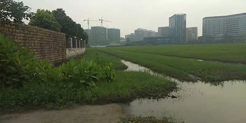 市土地储备交易中心“三个到位”确保储备地块汛期安全