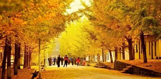 南雄2035，听您说！《南雄市国土空间总体规划（2020-2035）》公众问卷调查