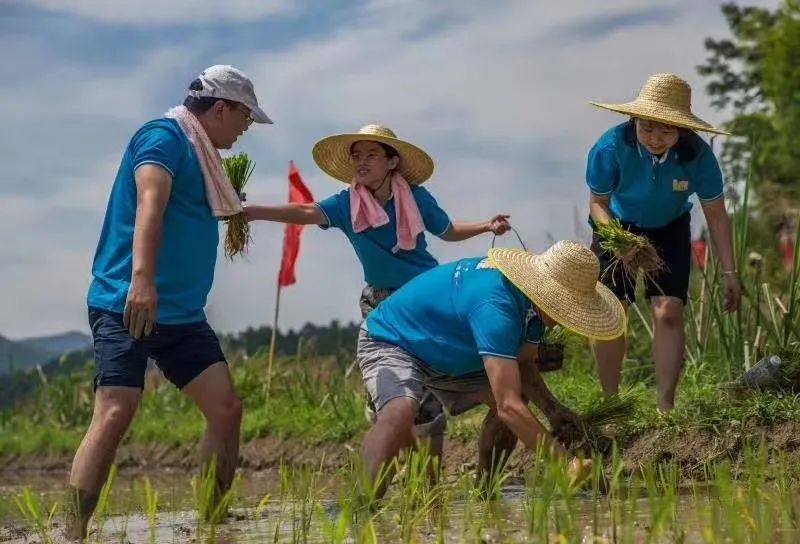 软件运营助力永泰乡村振兴 软件运营助力永泰乡村振兴