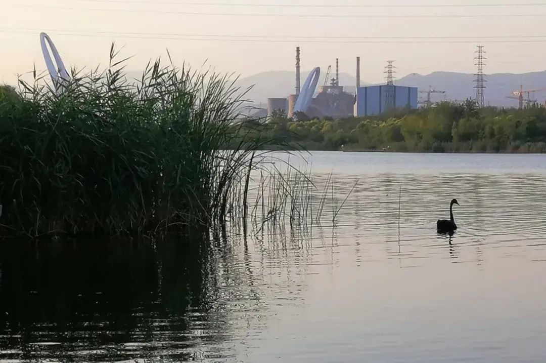 山绿了!水来了! 山绿了!水来了!