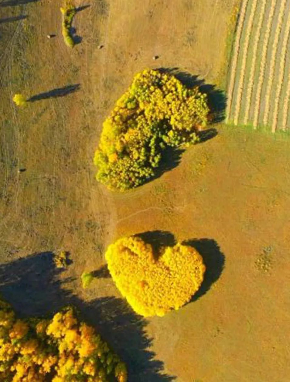 爱在自然，自然在爱！