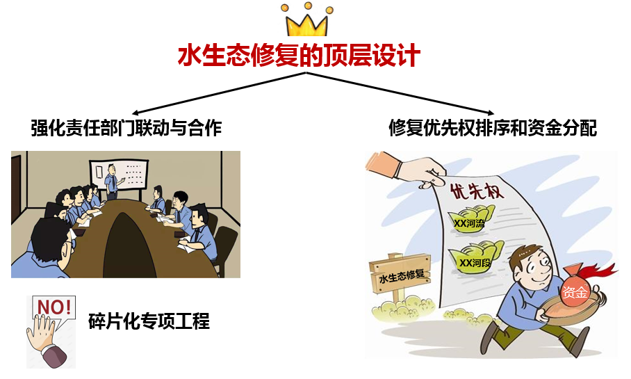 新员工展示 | 我的水生态修复 “进化论”
