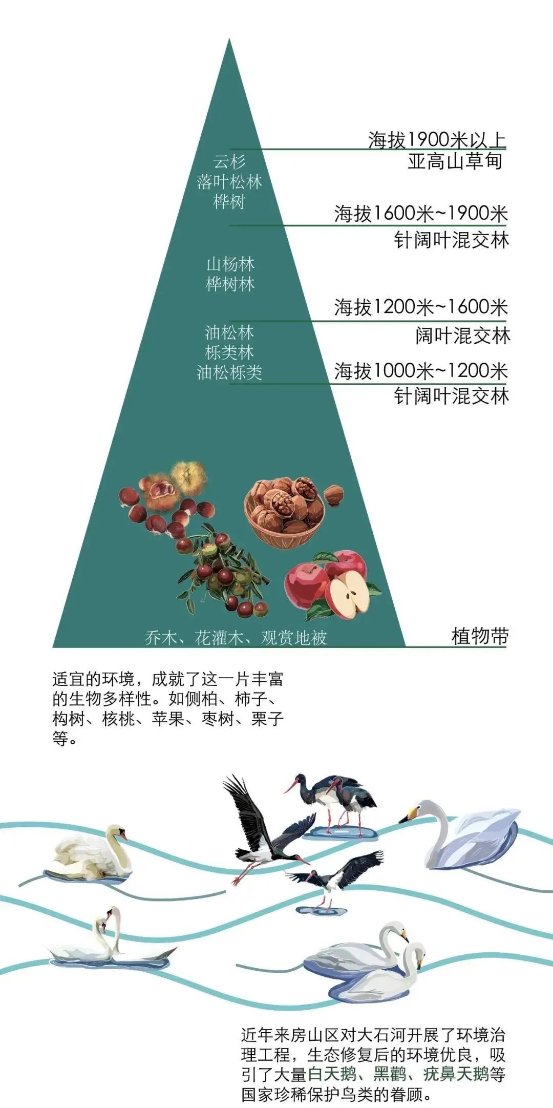 山绿了!水来了! 山绿了!水来了!