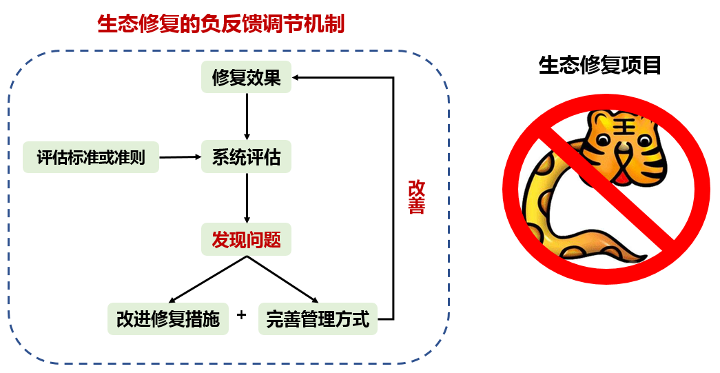 新员工展示 | 我的水生态修复 “进化论”