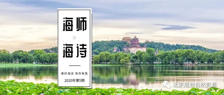 海师·海诗 | 槐树社区：万寿路街道老年友好型社区更新设计研究