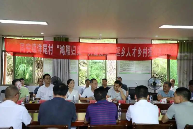软件运营助力永泰乡村振兴 软件运营助力永泰乡村振兴