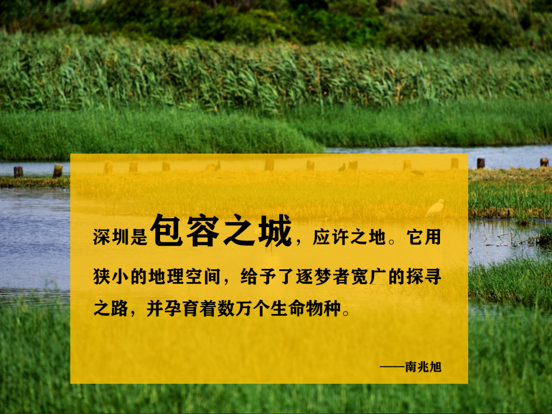 深圳2050：面向未来，主动预警6个危机！