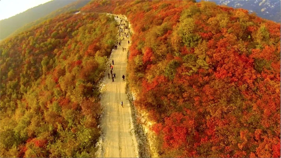 北京地名 | 香山静宜园 北京地名 | 香山静宜园