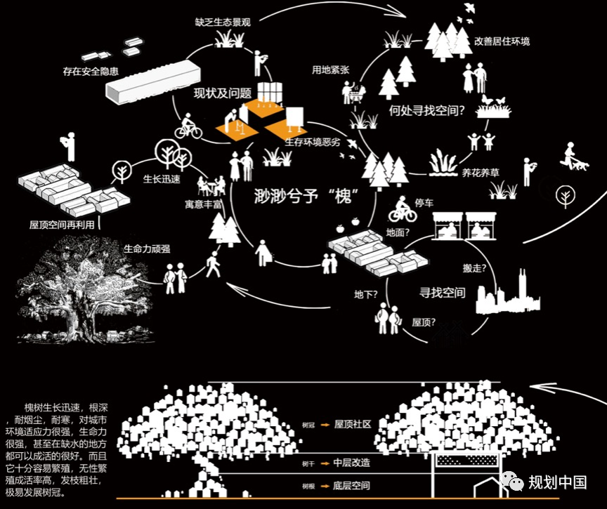 海师·海诗 | 槐树社区：万寿路街道老年友好型社区更新设计研究