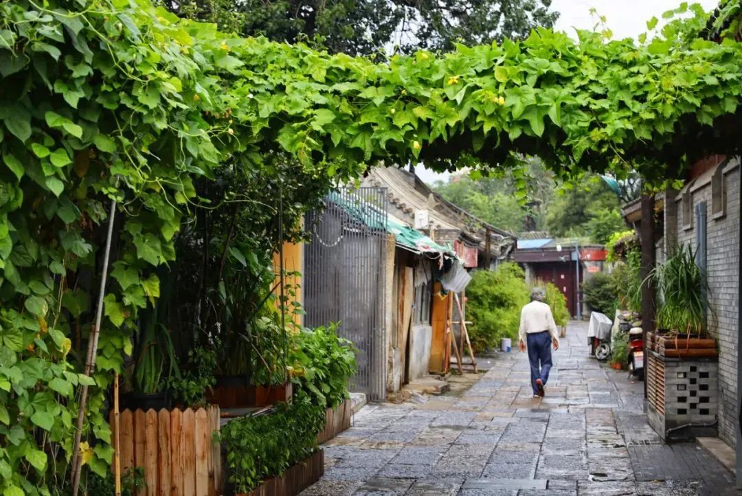 在草厂四条,体验京味儿胡同里的“精致”生活 在草厂四条,体验京味儿胡同里的“精致”生活