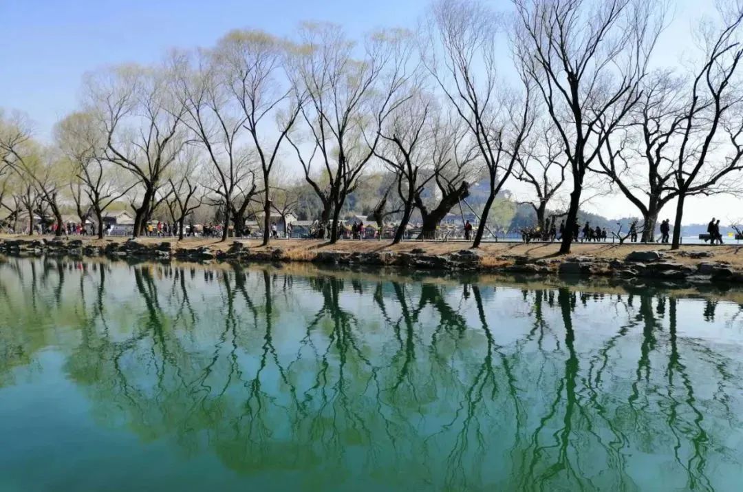 山绿了!水来了! 山绿了!水来了!