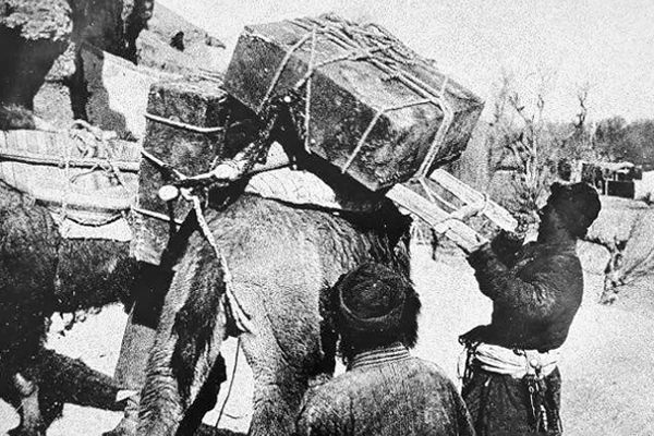 一个叫敦煌的地方正在死去 一个叫敦煌的地方正在死去