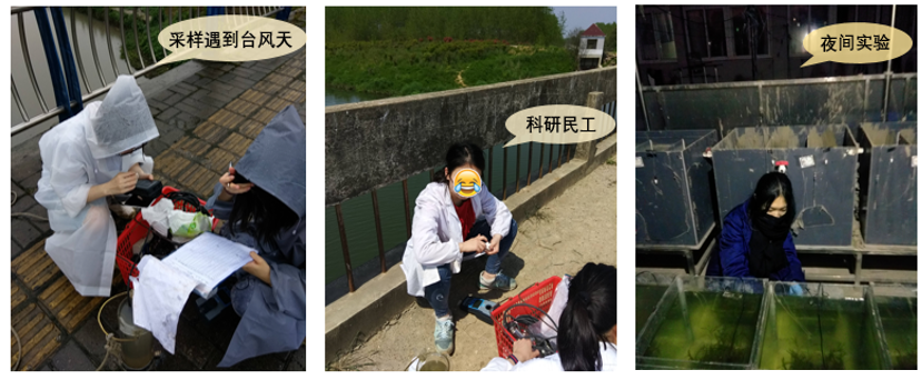 新员工展示 | 我的水生态修复 “进化论”