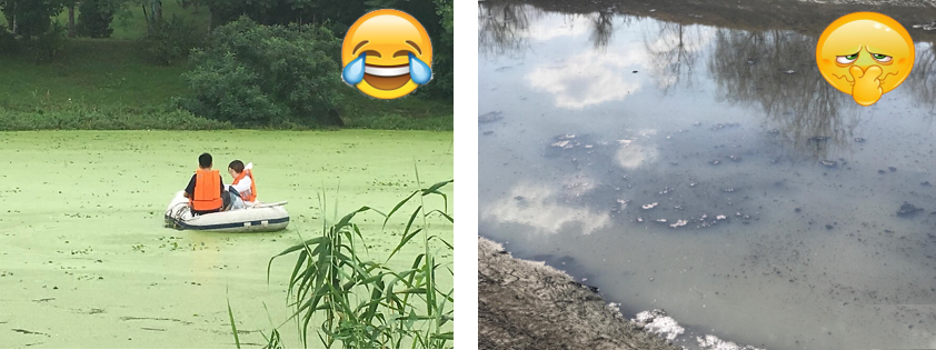 新员工展示 | 我的水生态修复 “进化论”