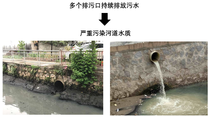 新员工展示 | 我的水生态修复 “进化论”