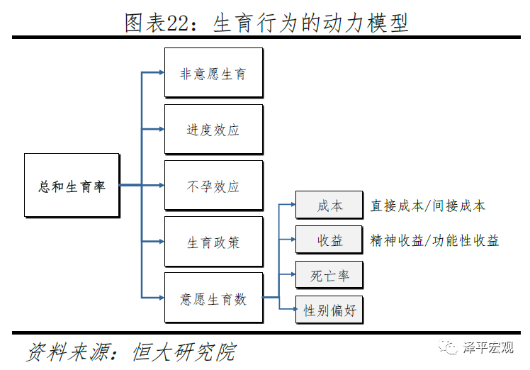中国生育报告2020