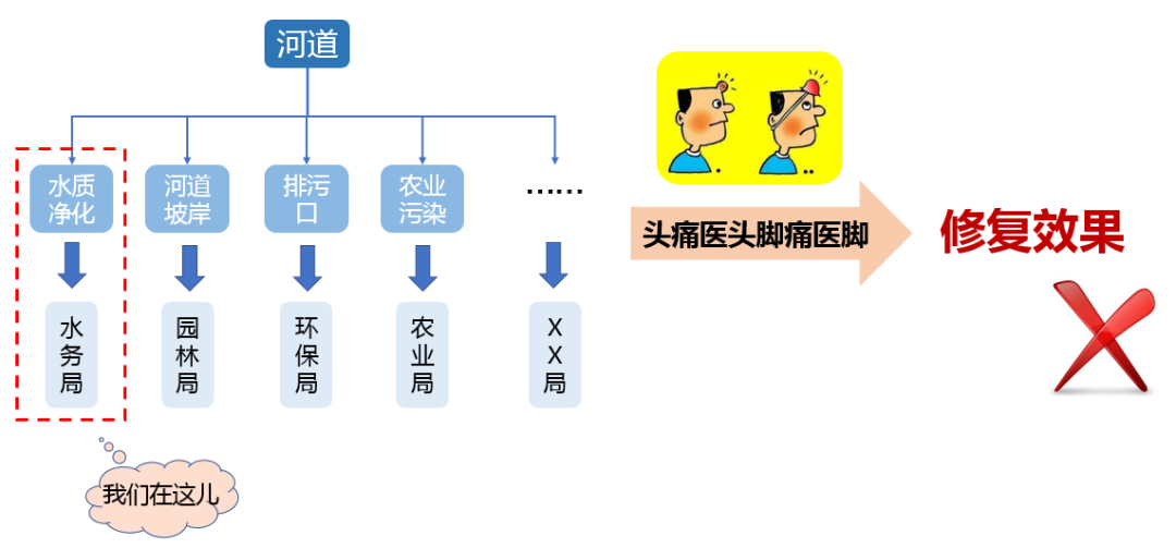 新员工展示 | 我的水生态修复 “进化论”
