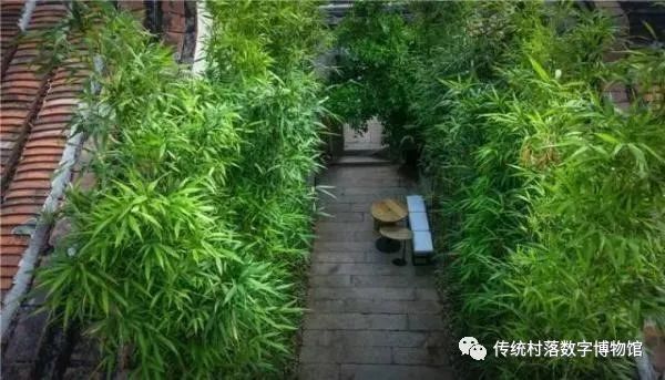 来福建桂峰村租养古厝 拥有你的云中仙境! 来福建桂峰村租养古厝 拥有你的云中仙境!