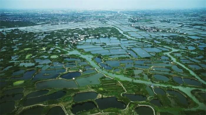 城市体检评估成果交流:湖州“两山”理念落实评估专篇 城市体检评估成果交流:湖州“两山”理念落实评估专篇