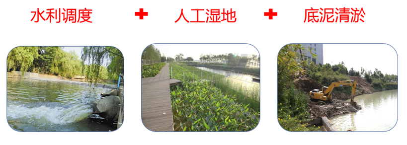 新员工展示 | 我的水生态修复 “进化论”