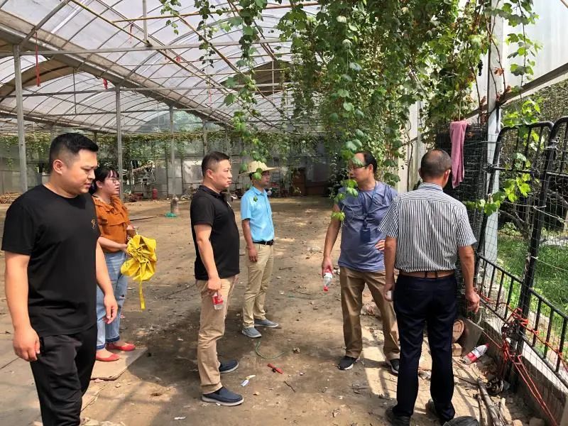 改进用地管理,促进现代农业健康发展,江干规划资源分局这样做…… 改进用地管理,促进现代农业健康发展,江干规划资源分局这样做……