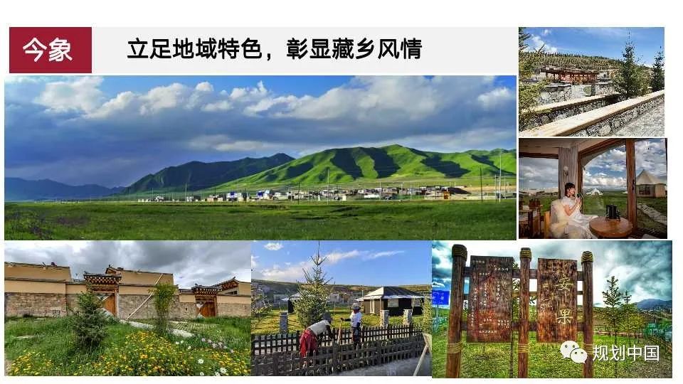 国土空间中区域特色重塑的理论与实践