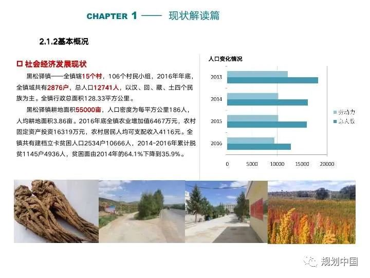 消费语境下乡镇发展范式转变及其规划启示：以甘肃为例