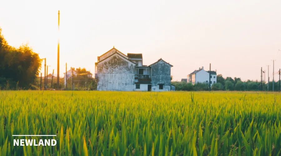 从乡村建设到乡村运营——政府项目市场托管的成效与困境