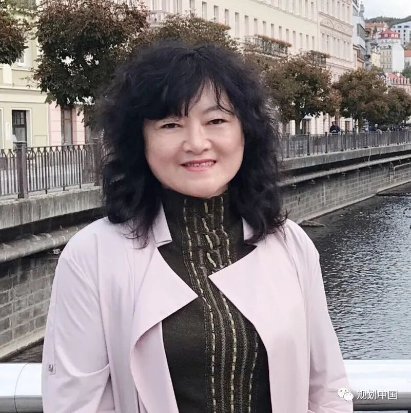 2020年中国城市规划学会区域规划和城市经济学术委员会年会如期召开 2020年中国城市规划学会区域规划和城市经济学术委员会年会如期召开