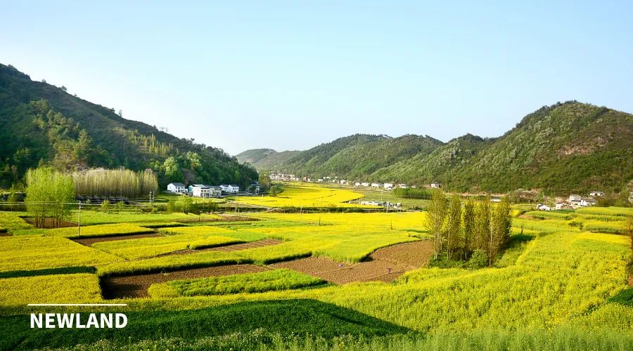 简论《民法典》与国土空间规划的关联性