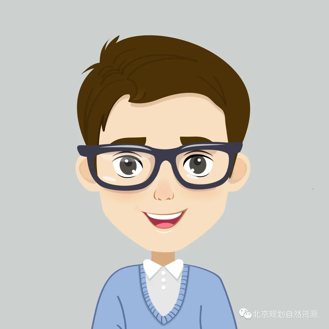北京市规划自然资源委主任张维：核心区控规突出政治中心和人民群众