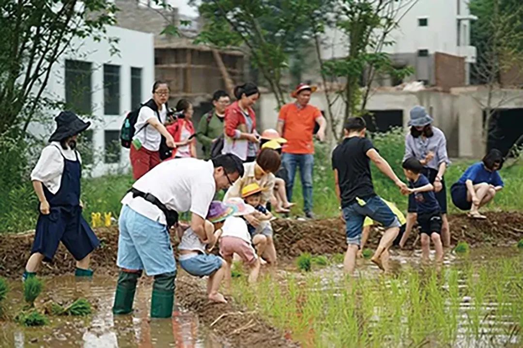 从乡村建设到乡村运营——政府项目市场托管的成效与困境