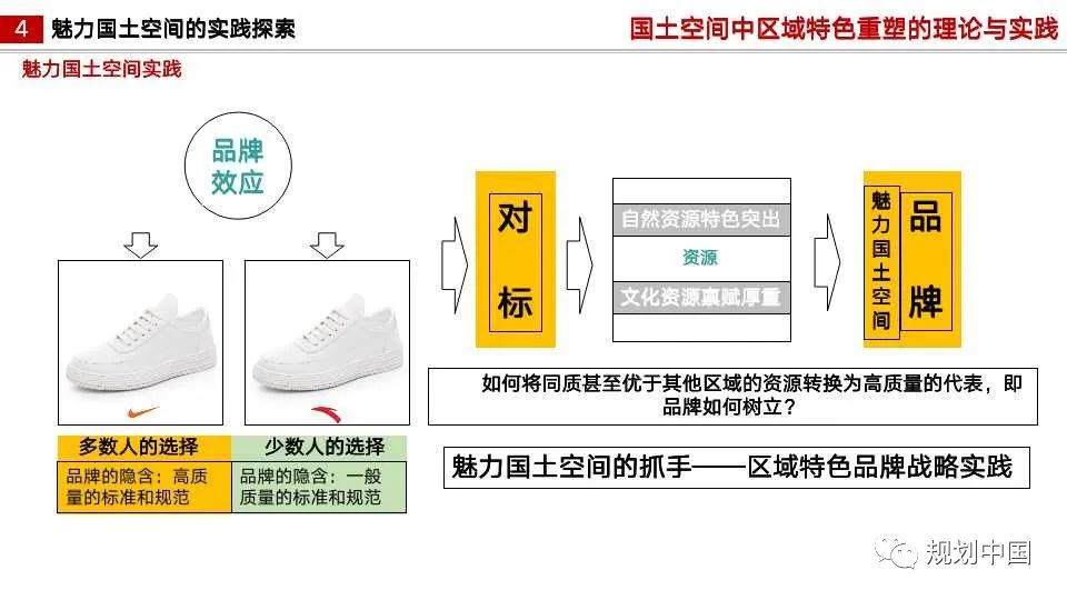 国土空间中区域特色重塑的理论与实践