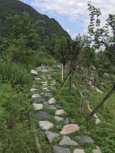 千年古道展新颜,引领乡村再振兴|作品展播 千年古道展新颜,引领乡村再振兴|作品展播