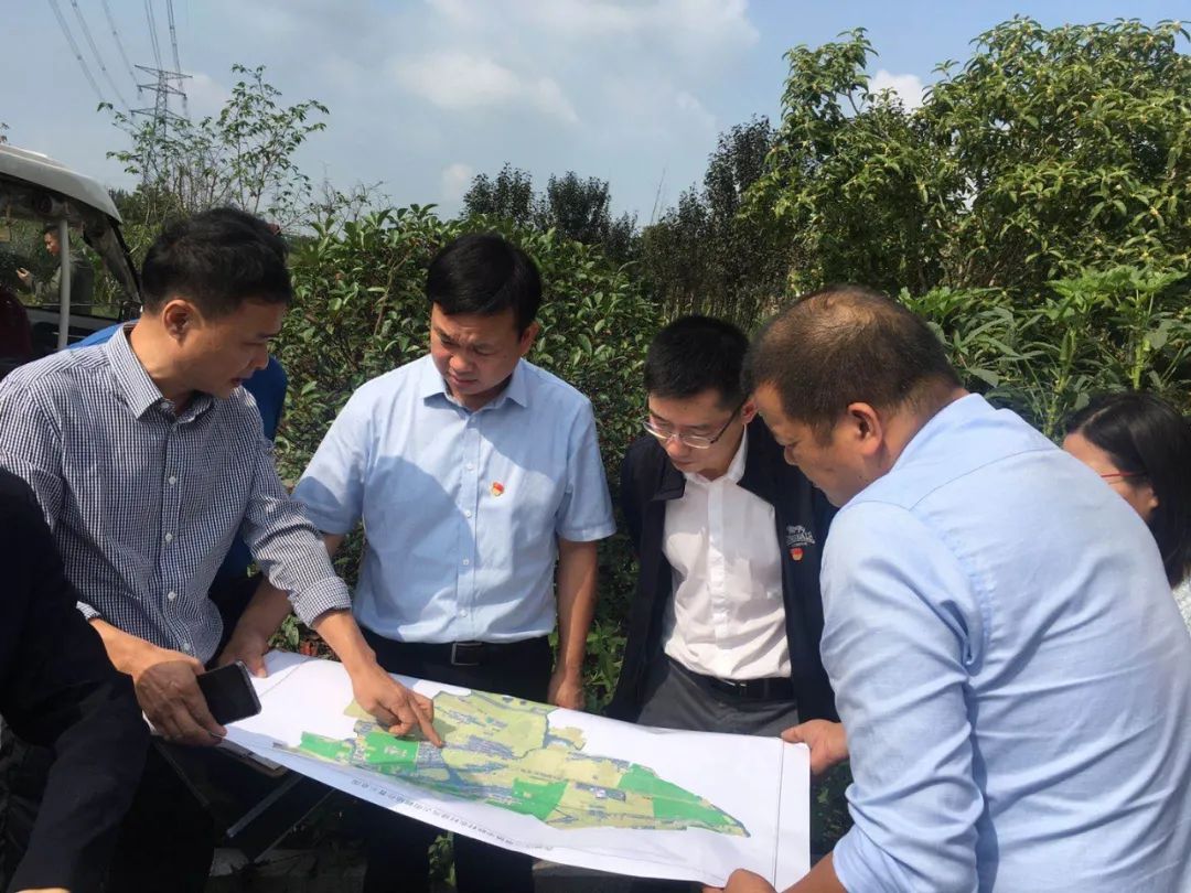 党建助推业务 业务彰显党建 | 执法队支部开展农村乱占耕地建房摸排工作实地培训