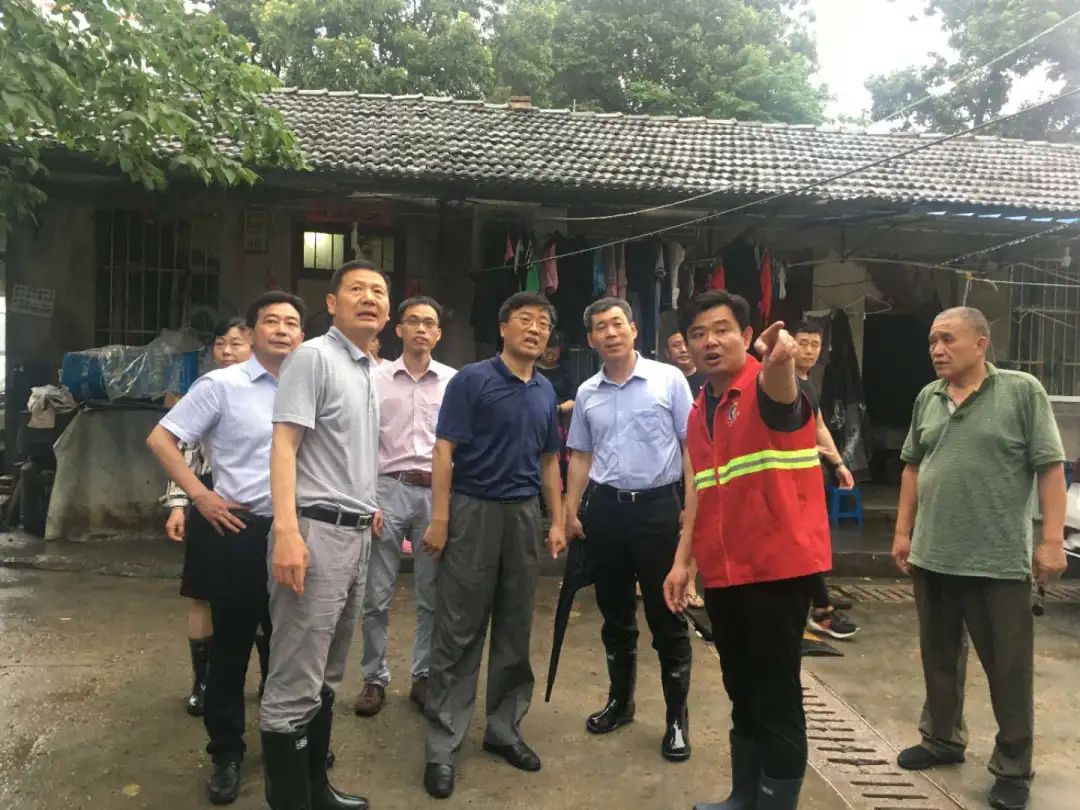先锋自然|栖霞分局积极构建“1+N”党建业务融合发展格局