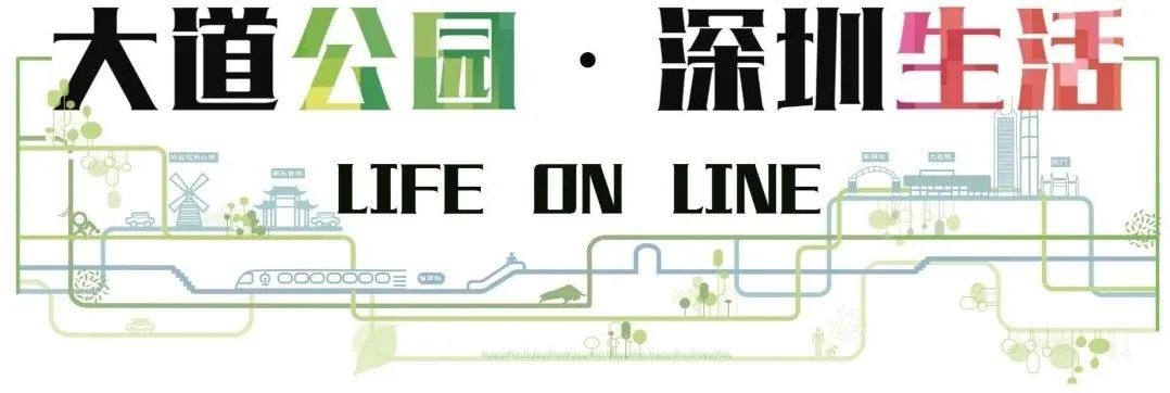 大道40，与深圳共成长