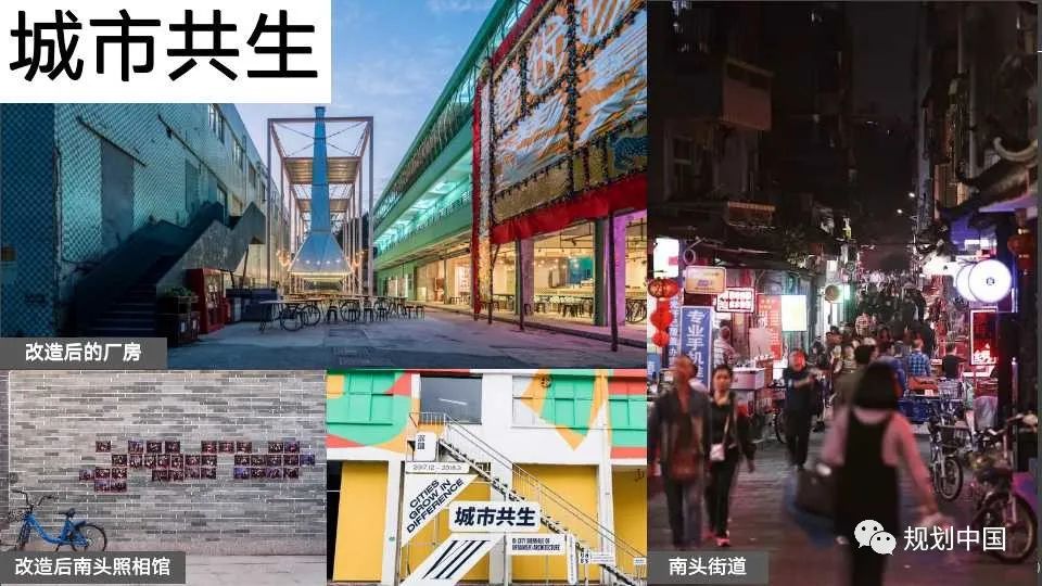 国土空间中区域特色重塑的理论与实践