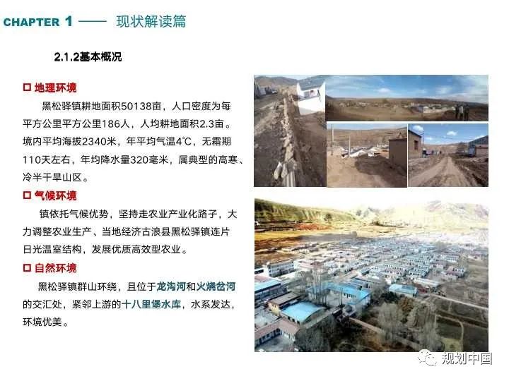 消费语境下乡镇发展范式转变及其规划启示：以甘肃为例