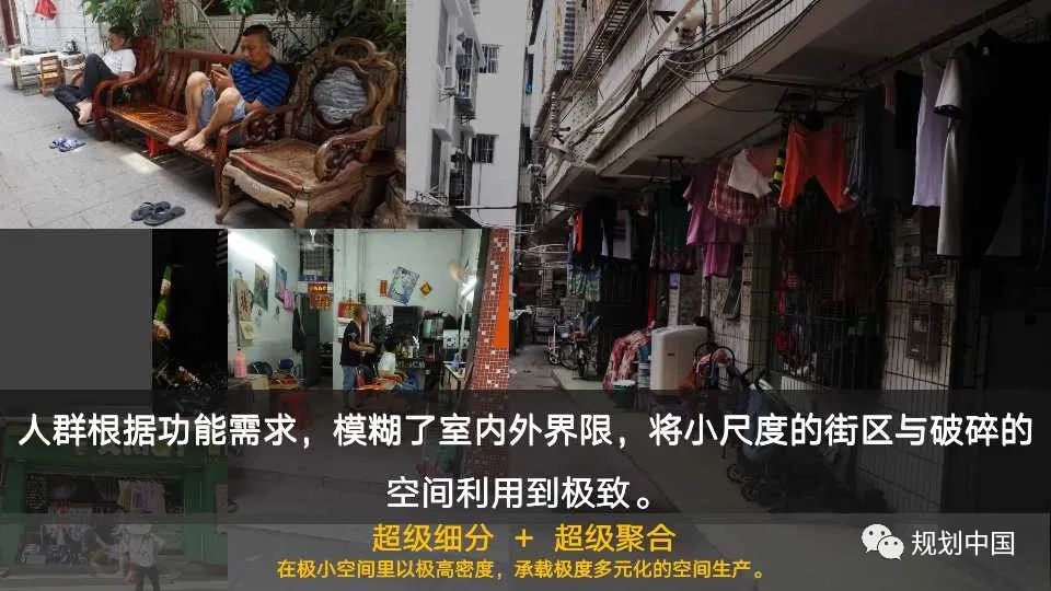 国土空间中区域特色重塑的理论与实践