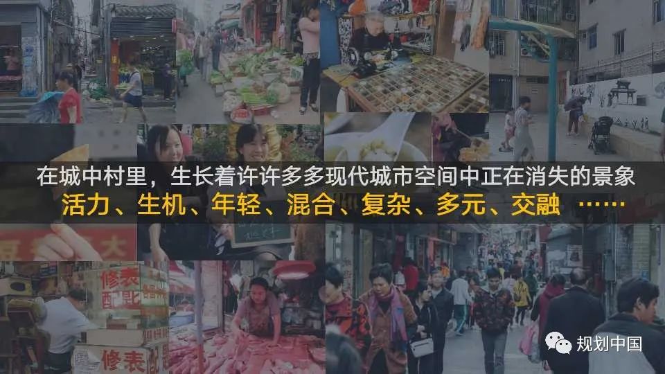 国土空间中区域特色重塑的理论与实践