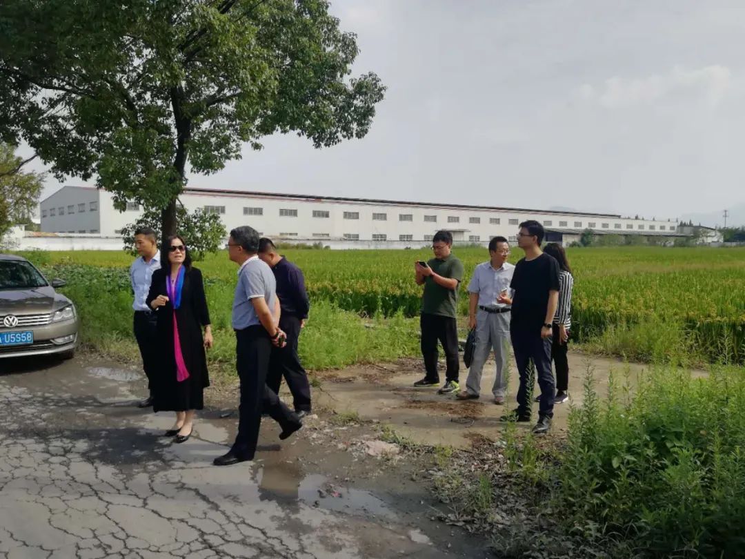 自然资源部生态修复司调研西湖区双浦镇全域土地综合整治和西溪湿地保护利用工作