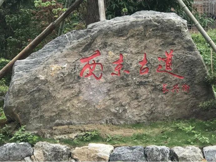 千年古道展新颜,引领乡村再振兴|作品展播 千年古道展新颜,引领乡村再振兴|作品展播