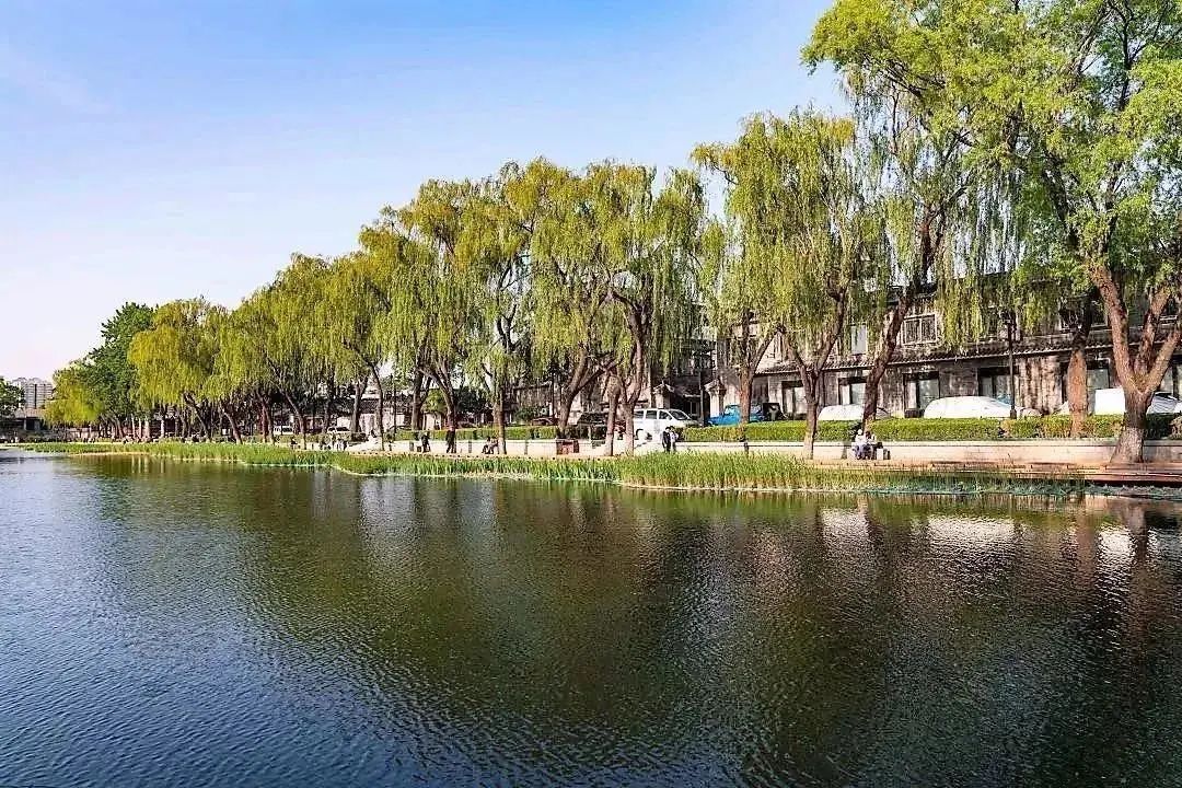 北京在行动 | 街区更新“绣”出城市新气象 北京在行动 | 街区更新“绣”出城市新气象