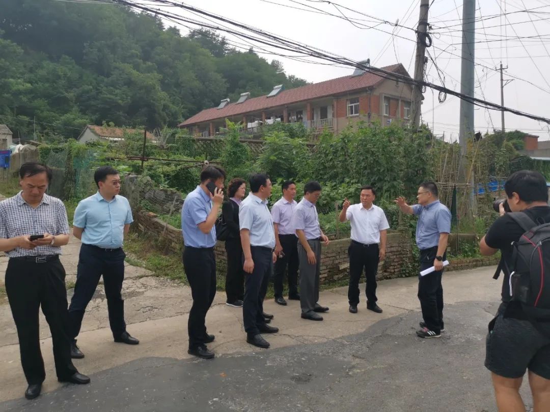 先锋自然|栖霞分局积极构建“1+N”党建业务融合发展格局