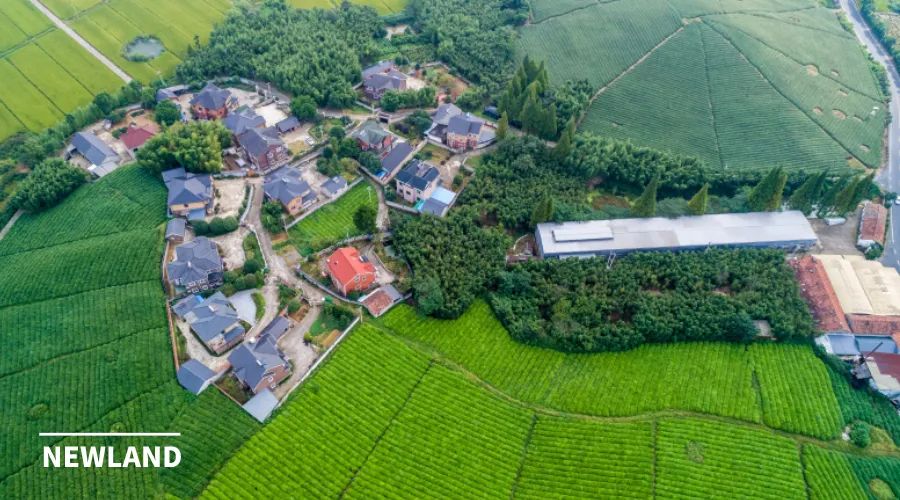 从乡村建设到乡村运营——政府项目市场托管的成效与困境