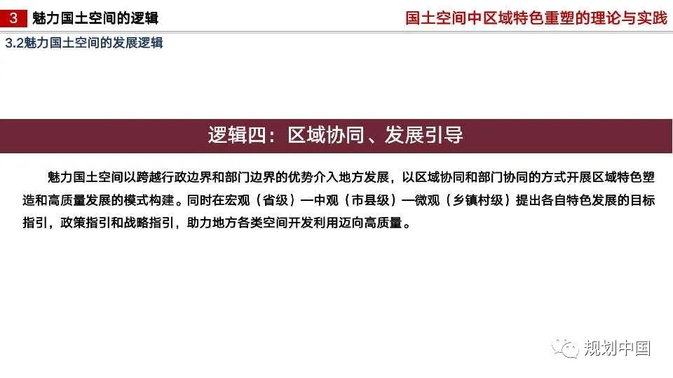 国土空间中区域特色重塑的理论与实践