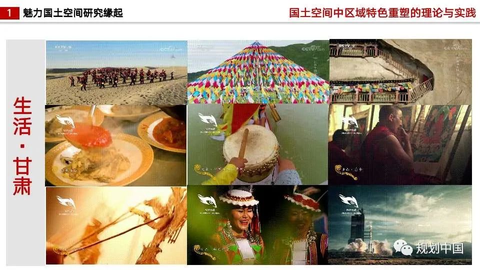 国土空间中区域特色重塑的理论与实践