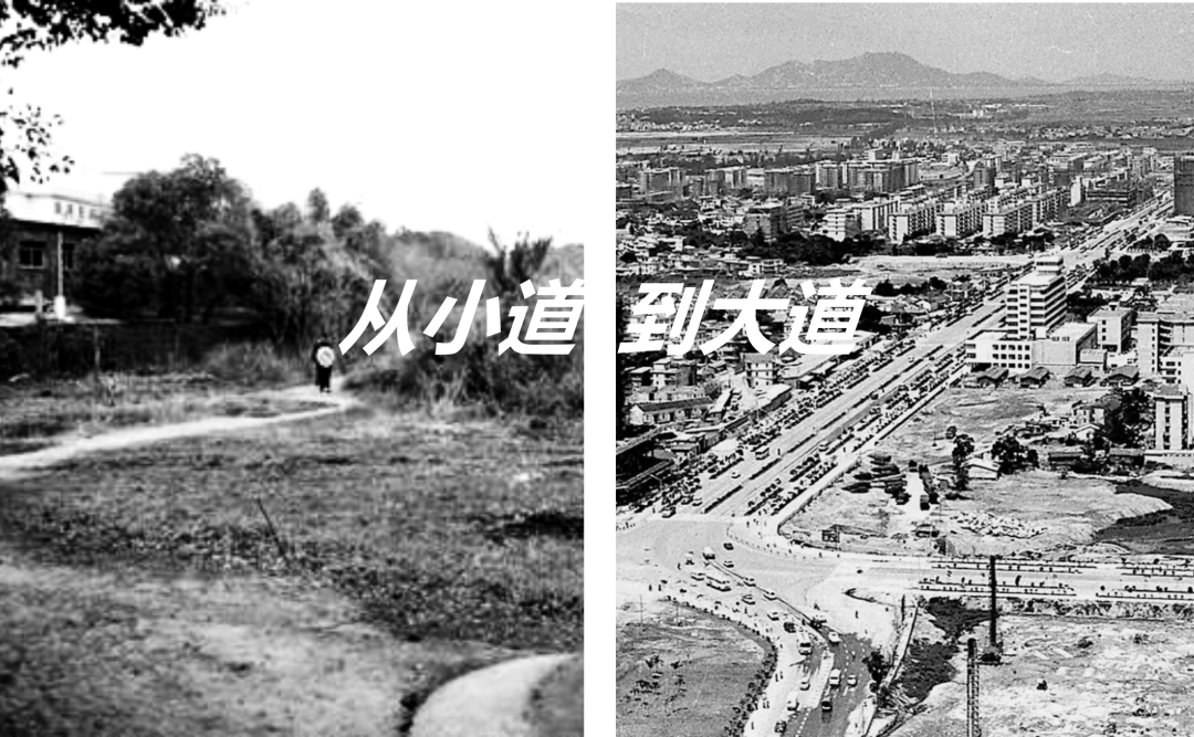 大道40，与深圳共成长